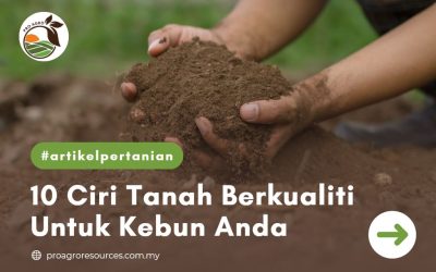 10 CIRI TANAH BERKUALITI UNTUK KEBUN ANDA