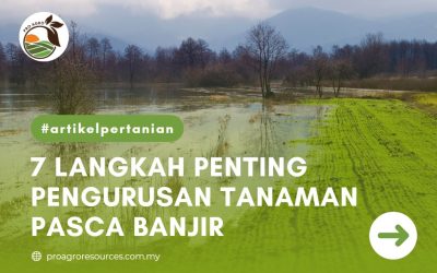 7 LANGKAH PENTING PENGURUSAN TANAMAN PASCA BANJIR