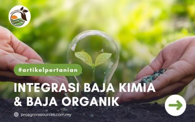 INTEGRASI BAJA KIMIA DAN BAJA ORGANIK